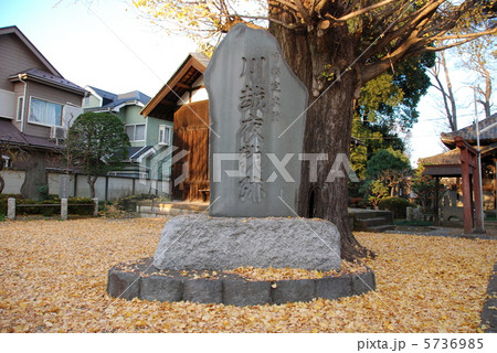 「川越夜戦跡」の石碑（東明寺／埼玉県川越市志多町） 5736985