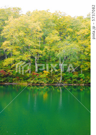 雨飾高原 鎌池 雨飾高原 鎌池 5737082