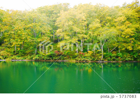 雨飾高原　鎌池 5737083