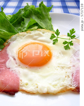 ハムエッグ 5737139