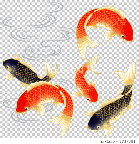 Japanese style carp and sluice gate 5737381
