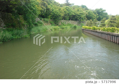 彦根城の堀（滋賀県彦根市金亀町） 5737996