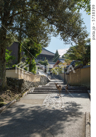 二月堂への道 5738399