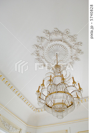 ゴージャス 5740828