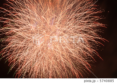 夏の華 夏の華 5740885