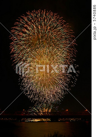 夏の華 夏の華 5740886