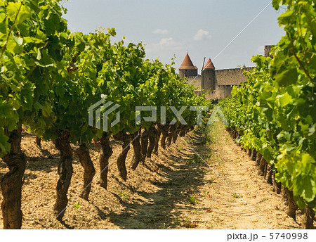 Medieval town of Carcassonne and vineyards Medieval town of Carcassonne and vineyards 5740998