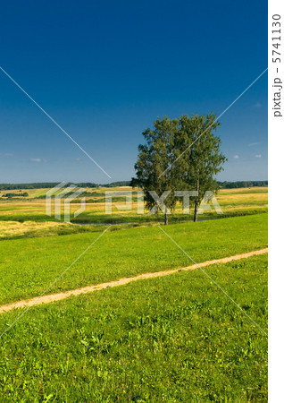 rural landscape with two trees rural landscape with two trees 5741130