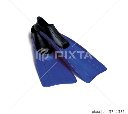 Flippers on a white background 5741585