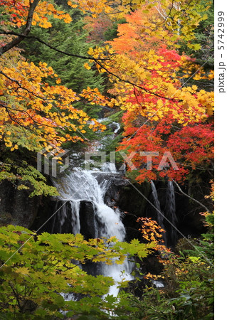 紅葉した竜頭の滝 5742999