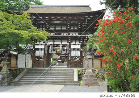 京都　松尾大社の楼門 5743869