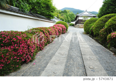 京都 随心院の皐月 京都 随心院の皐月 5743871