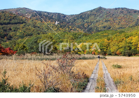 八幡平の御在所沼遊歩道から見た紅葉風景 5743950