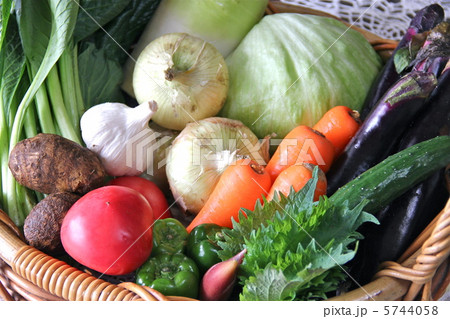 野菜盛り合わせ 5744058