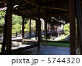 夏の高台寺 5744320
