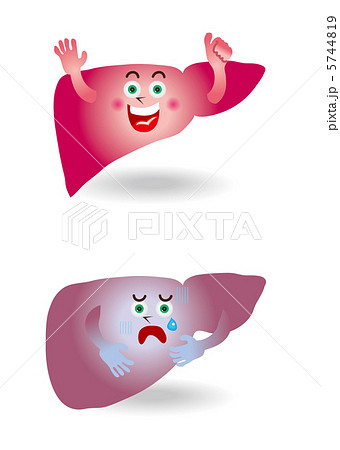 肝臓　キャラクター 5744819