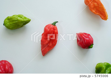 ジョロキアとハバネロ ジョロキアとハバネロ 5745006