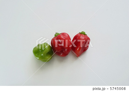 ハバネロ三兄弟 5745008