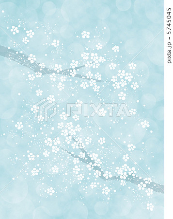 雪の花 5745045
