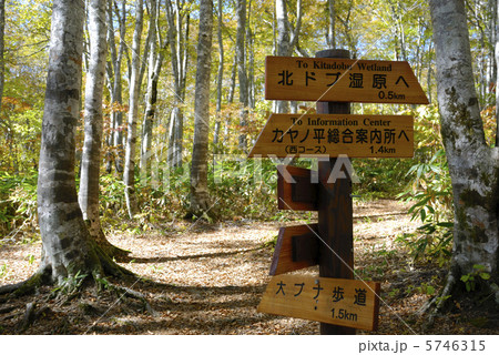 志賀高原カヤの平高原の道標 志賀高原カヤの平高原の道標 5746315