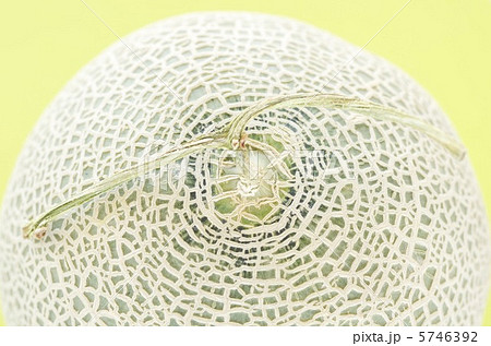 メロン メロン 5746392