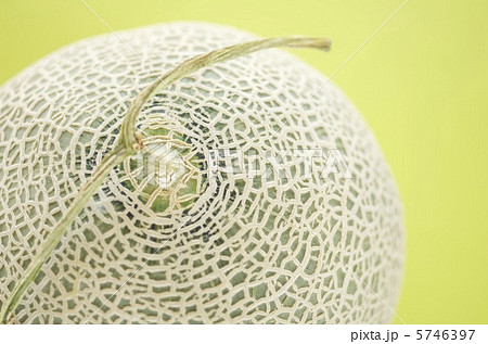 メロン メロン 5746397