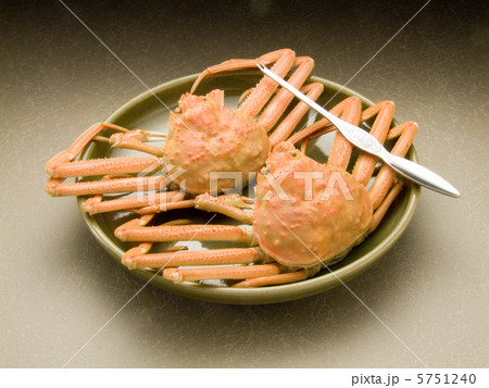 茹ズワイガニ 茹ズワイガニ 5751240