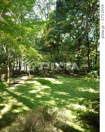 野宮神社 5751656