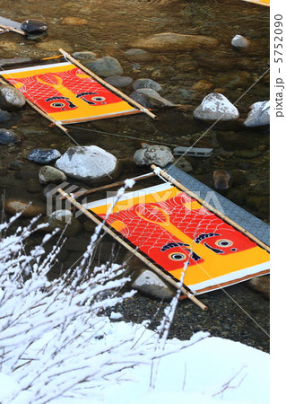 鯉のぼりの寒ざらし 鯉のぼりの寒ざらし 5752090