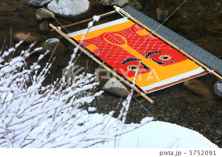 鯉のぼりの寒ざらし 鯉のぼりの寒ざらし 5752091