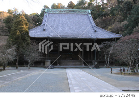 妙本寺 妙本寺 5752448