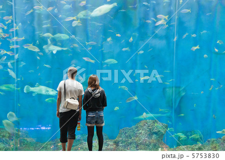 水族館のカップル 水族館のカップル 5753830