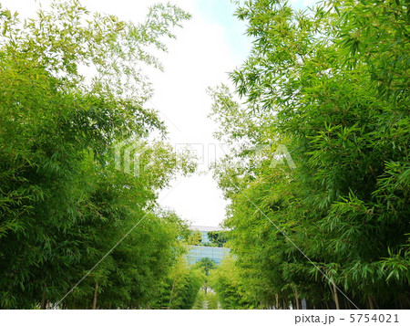 韓国(国立中央博物館) 韓国(国立中央博物館) 5754021