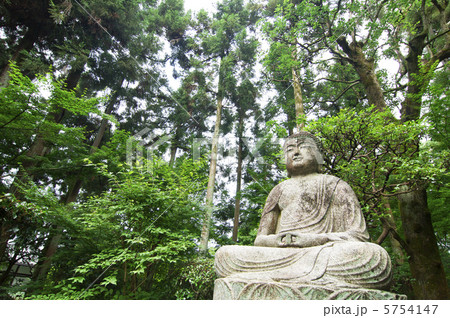 龍安寺(竜安寺) 仏像 龍安寺(竜安寺) 仏像 5754147