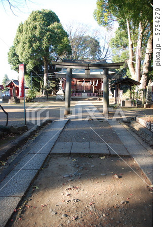 三芳野神社の参道と鳥居(川越市郭町/埼玉県) 三芳野神社の参道と鳥居(川越市郭町/埼玉県) 5754279