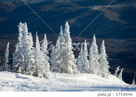 Winter scene Winter scene 5759046