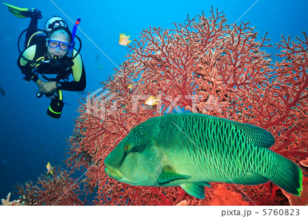 Scuba diver Scuba diver 5760823