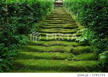 杉本寺 5761743