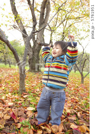 鮮やかな落ち葉と元気な子供 鮮やかな落ち葉と元気な子供 5761951