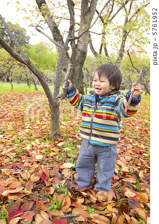 鮮やかな落ち葉と元気な子供 鮮やかな落ち葉と元気な子供 5761952