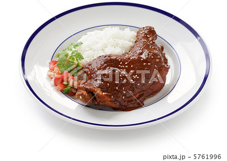 鶏肉のモーレソース 5761996