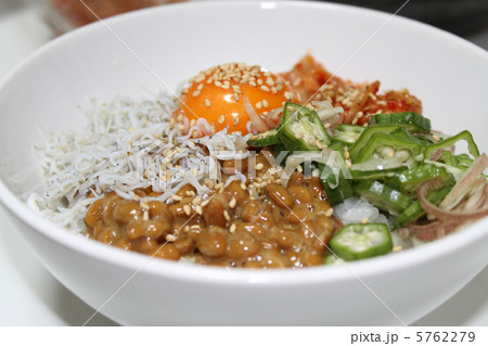 ぶっかけごはん 5762279