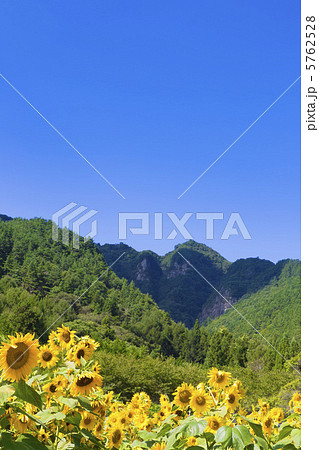 独鈷山とひまわり 独鈷山とひまわり 5762528