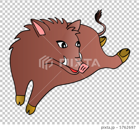 イノシシ 亥 イノシシ 亥 5762697