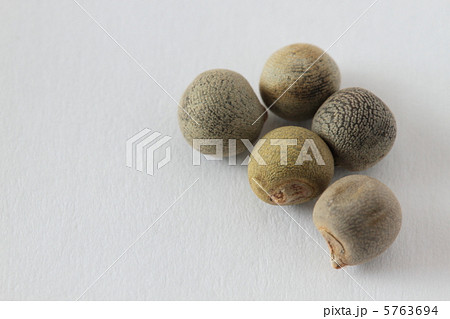 オクラの種 オクラの種 5763694