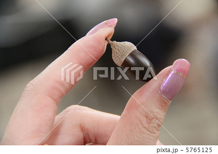 どんぐり 5765125