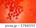 紅葉 33 5766555