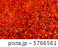 紅葉 27 5766561
