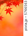 紅葉 25 5766563