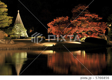 六義園ライトアップ 六義園ライトアップ 5766856